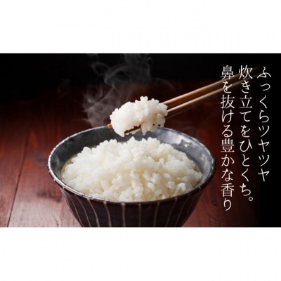 堆肥で育てた 新潟産 こしひかり 5kg [54070806]