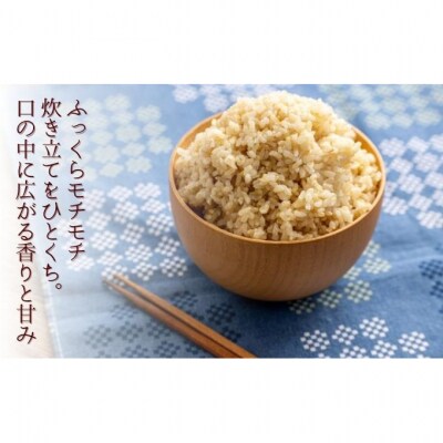 堆肥で育てた 新潟産 こしひかり 玄米 30kg [54070808]