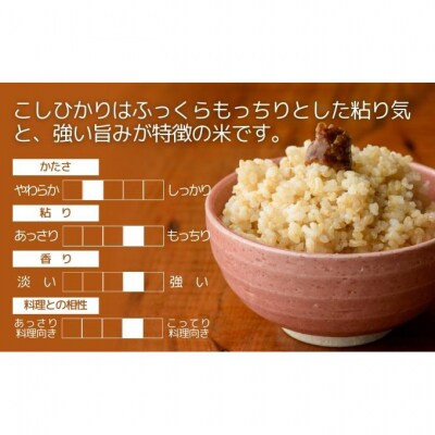 堆肥で育てた 新潟産 こしひかり 玄米 30kg [54070808]