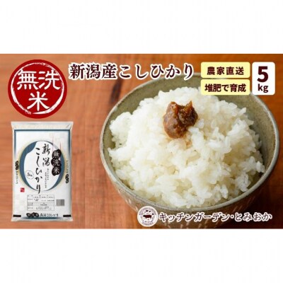 堆肥で育てた 新潟産 こしひかり 無洗米 5kg [54071030]
