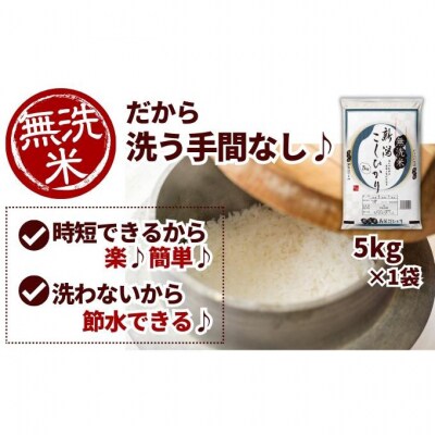 堆肥で育てた 新潟産 こしひかり 無洗米 5kg [54071030]
