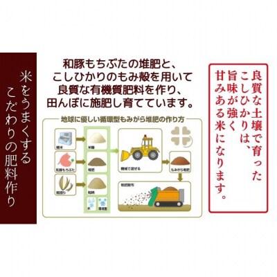 堆肥で育てた 新潟産 こしひかり 無洗米 5kg [54071030]