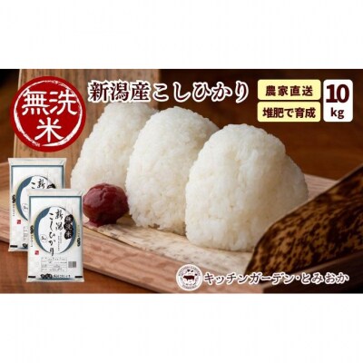 堆肥で育てた 新潟産 こしひかり 無洗米 10kg [54071031]