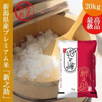 令和7年産 新之助 しんのすけ 20kg (5kg×4袋)[54071551]
