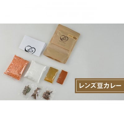 スパイスカレー 新潟×スリランカ　3種[54071544]