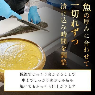 昭和の思い 真っ赤なイカの赤味噌漬 CG-26D