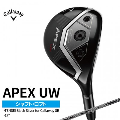 �S���t�N���u �L�����E�F�C �G�C�y�b�N�X APEX UW 17° SR