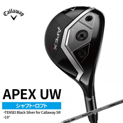 �S���t�N���u �L�����E�F�C �G�C�y�b�N�X APEX UW 19° SR