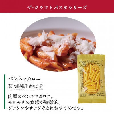 ザ・クラフトパスタ ペンネマカロニ 100g×24袋 M-22
