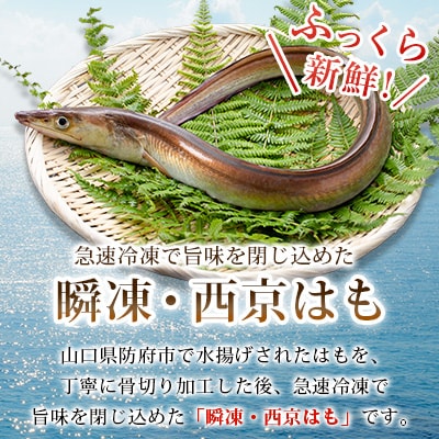 防府産　瞬間冷凍西京はも　骨切り済切り身　300g(和木町)