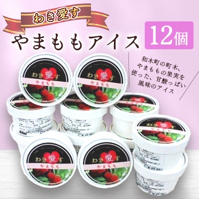 アイスクリーム「わき愛す」やまもも　12個　