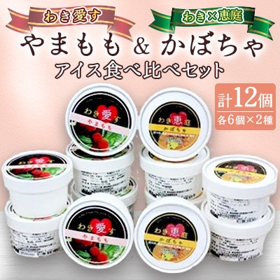 「アイスクリーム」2種(やまもも6個、かぼちゃアイス6個)食べ比べセット