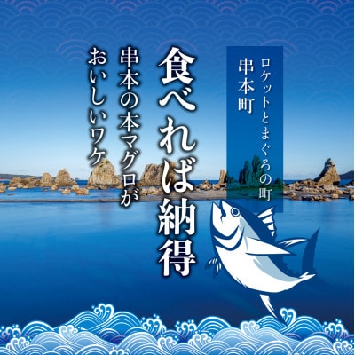 本マグロ(養殖) トロ&赤身セット 500g 【nks110D】