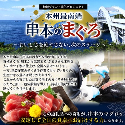 本マグロ(養殖) トロ&赤身セット 500g 【nks110D】