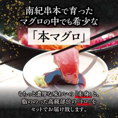 本マグロ(養殖) トロ&赤身セット 1kg 【nks105B】