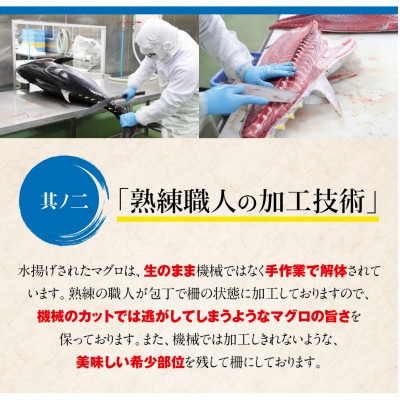 本マグロ(養殖) トロ&赤身セット 1kg 【nks105B】