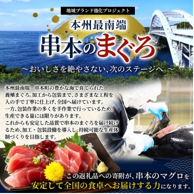 本マグロ(養殖) トロ&赤身セット 1kg 【nks105B】