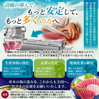 本マグロ(養殖) トロ&赤身セット 1kg 【nks105B】
