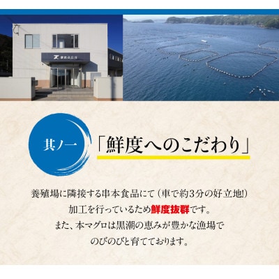 本マグロ(養殖) トロ&赤身セット 240g 【nks113】