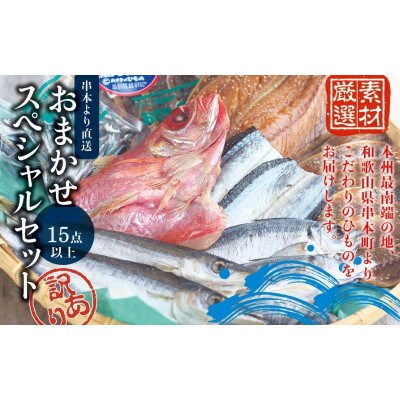 【訳あり干物セット】15点以上!おざきのひもの「おまかせスペシャルセット」【ozk103A-1】