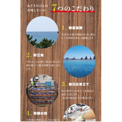 【訳あり干物セット】20点以上!おざきのひもの「おまかせスペシャルセット」【ozk103-1】