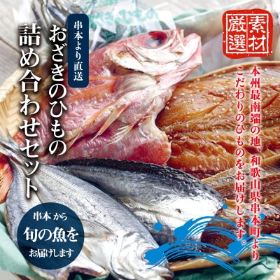 おざきのひもの 詰め合わせセット《旬の魚をお届け!》(Aセット)【冷蔵】【ozk100】