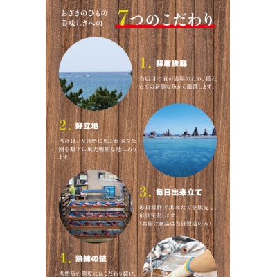 おざきのひもの 詰め合わせセット《旬の魚をお届け!》(Aセット)【冷蔵】【ozk100】