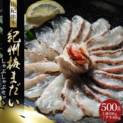 紀州梅まだい しゃぶしゃぶセット　岩谷水産