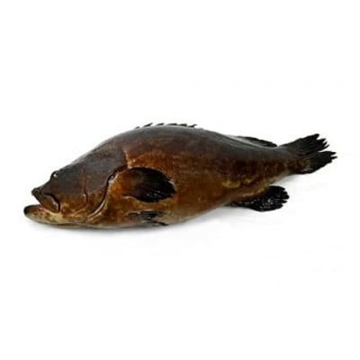 紀州梅くえ鍋用パック 500g