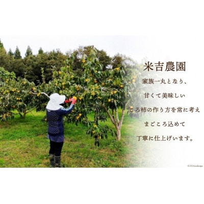 【先行予約】干し柿 令和8年 ころ柿 500g(12～15個)ドライフルーツ 国産