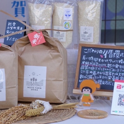 令和8年 新米 能登志賀町産 コシヒカリ3kg
