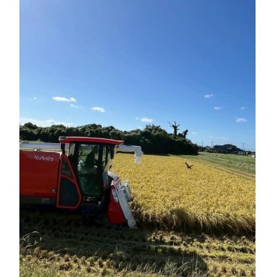 令和8年産 ゆめみづほ 精米 5kg