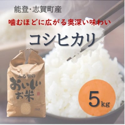 令和8年産 コシヒカリ 精米 5kg