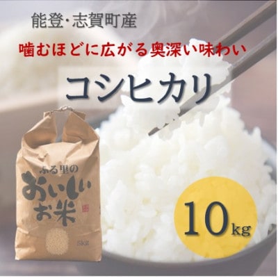 令和8年産 コシヒカリ  精米 10kg
