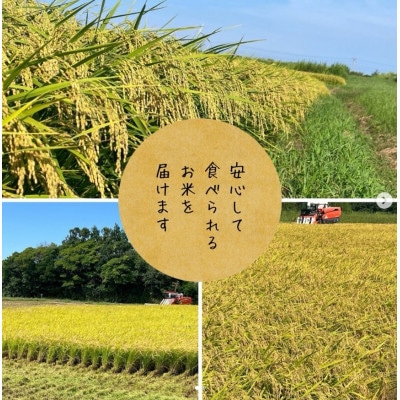 令和8年産 コシヒカリ  精米 10kg