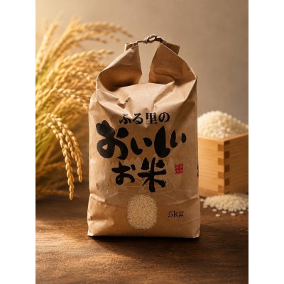 令和8年産 コシヒカリ  精米 10kg