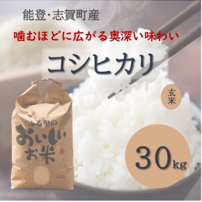 令和8年産 コシヒカリ 玄米 30kg
