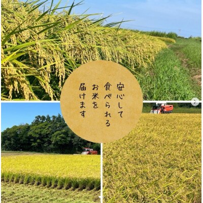 令和8年産 コシヒカリ 玄米 30kg