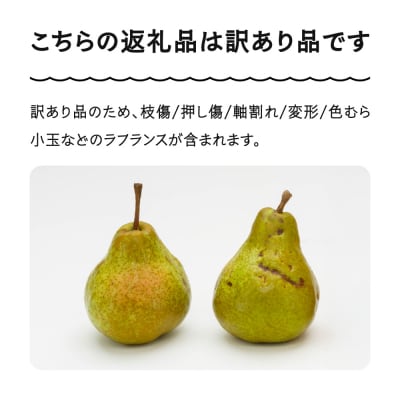 ラ・フランス 洋梨 訳あり 約5kg 2025年産 令和7年産 ns-lawax5