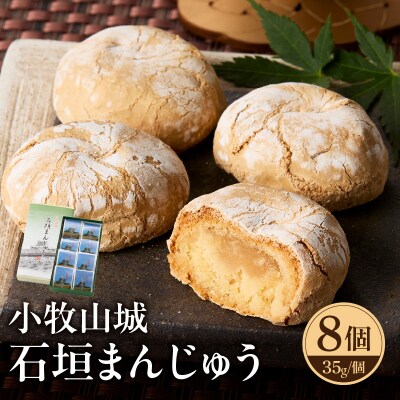 小牧山城　石垣まんじゅう[009B12]