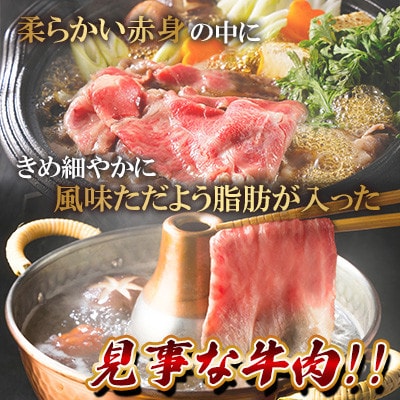佐賀県産 黒毛和牛 切り落とし 500g