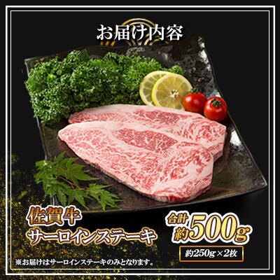 佐賀牛 サーロインステーキ 250g×2枚(計500g)