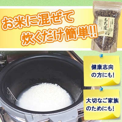 【白石産】もち麦900g