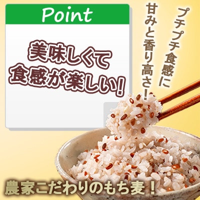 【白石産】もち麦900g