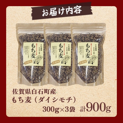 【白石産】もち麦900g