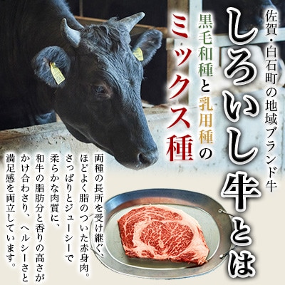 佐賀県産 しろいし牛 万能 切落し 1kg(500g×2パック)(白石町)