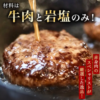 佐賀県産 しろいし牛 手ごね ハンバーグ 120g×5個(白石町)