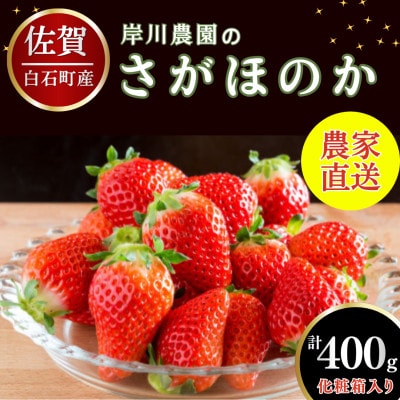 【農家直送】(化粧箱入り)白石産いちご「さがほのか」400g (白石町)