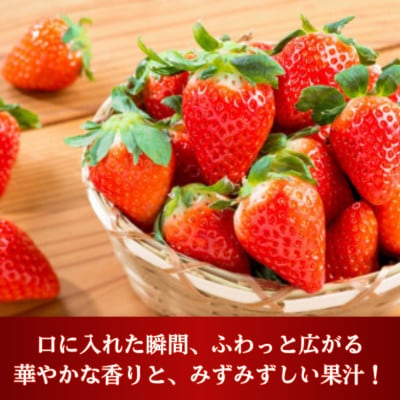 【農家直送】(化粧箱入り)白石産いちご「さがほのか」400g (白石町)