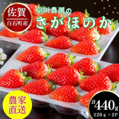 【先行予約】白石町産 いちご「さがほのか」220g×2パック (白石町)
